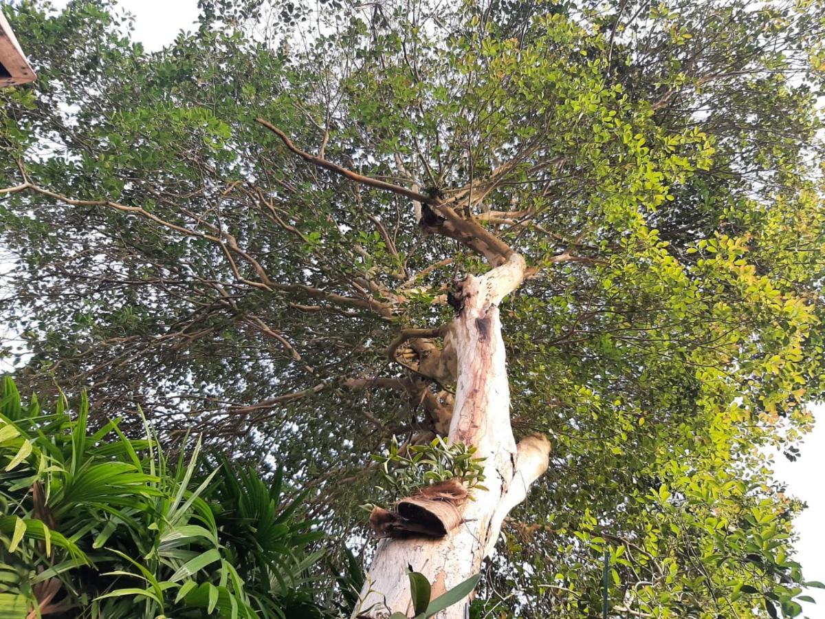 Familia Silvia Perico Villa Ilhabela Luaran gambar