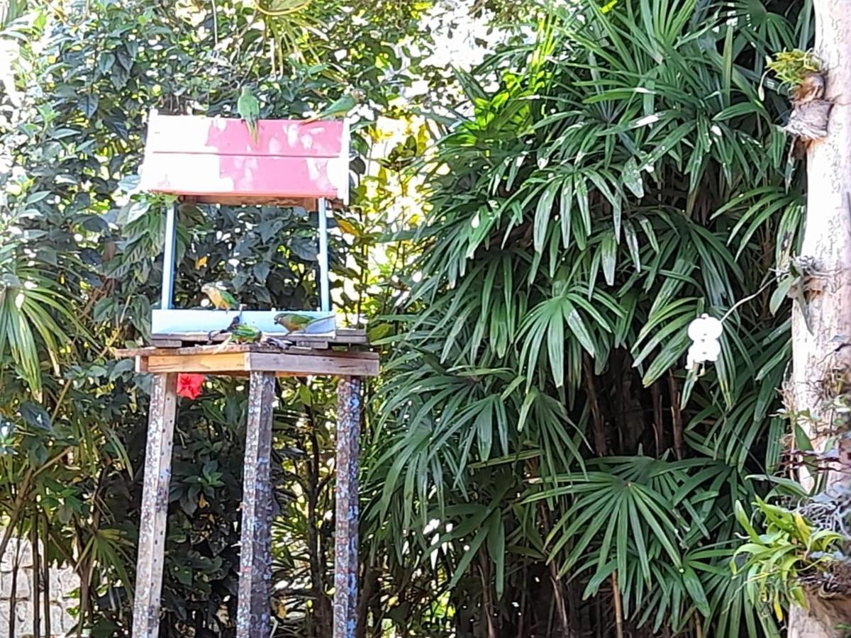 Familia Silvia Perico Villa Ilhabela Luaran gambar